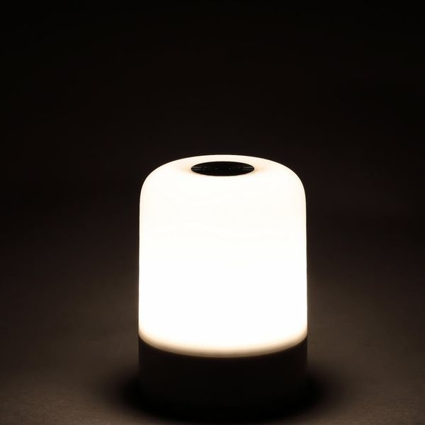 Багатофункціональний кемпінговий ліхтар Nextool Camping Lantern, 600 лм NE20014A фото