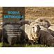 Шкарпетки Dexshell Terrain Walking 2.0 Socks, хакі, розмір M (39-42) 66309 фото 7