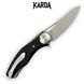 Ніж складний Karda D009 Desert Eagle Black 1508 фото 2