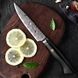 Ніж кухонний універсальний Black Citrus (VG-10, Wood) KT-2509 фото 1