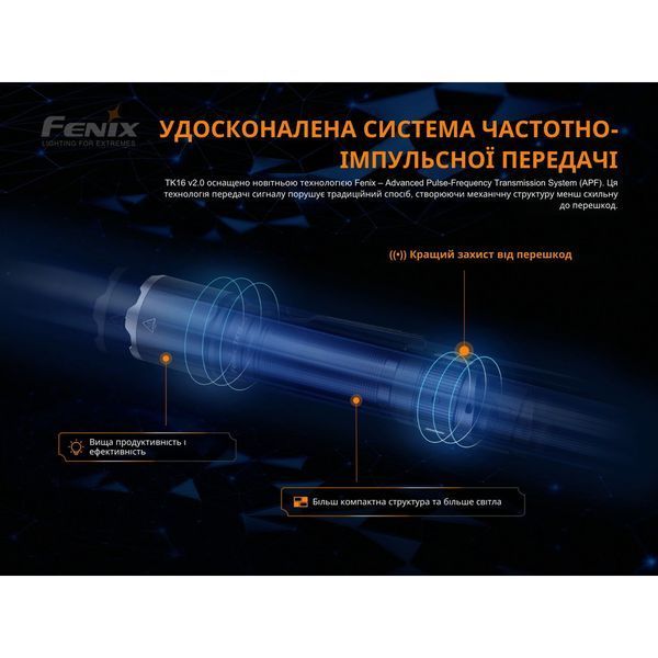 64865 фото